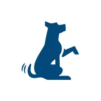 Dog Training Highlands