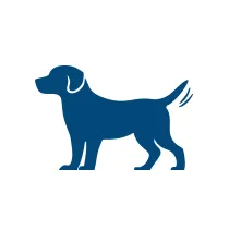 Dog Training Inverness