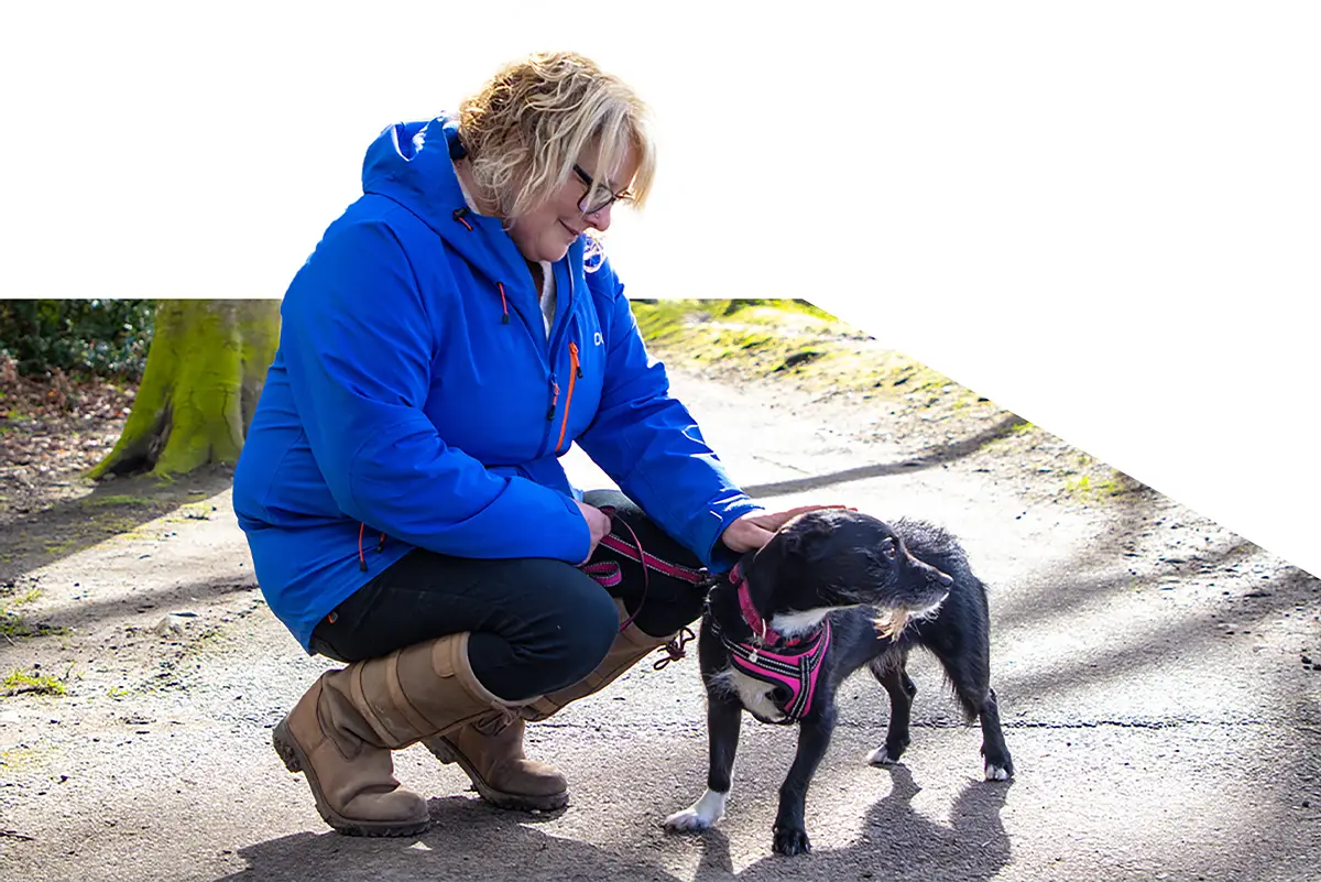 Dog Trainers Inverness