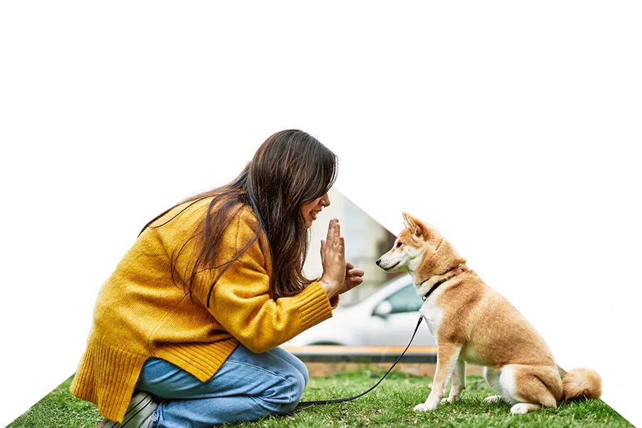 Dog Trainers Inverness Dog Trainers Inverness