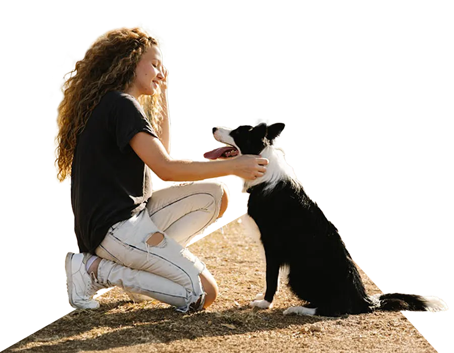 One to One Dog Training Inverness One to One Dog Training Inverness