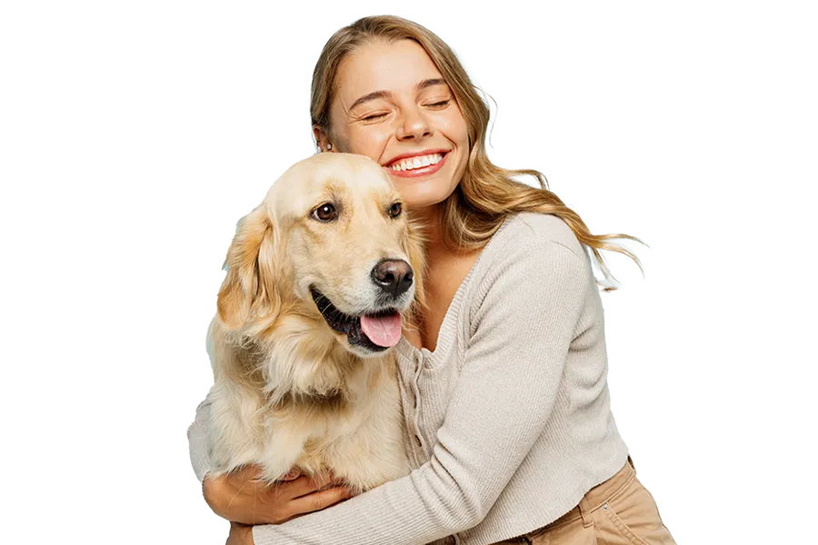 One to One Dog Training highlands One to One Dog Training highlands