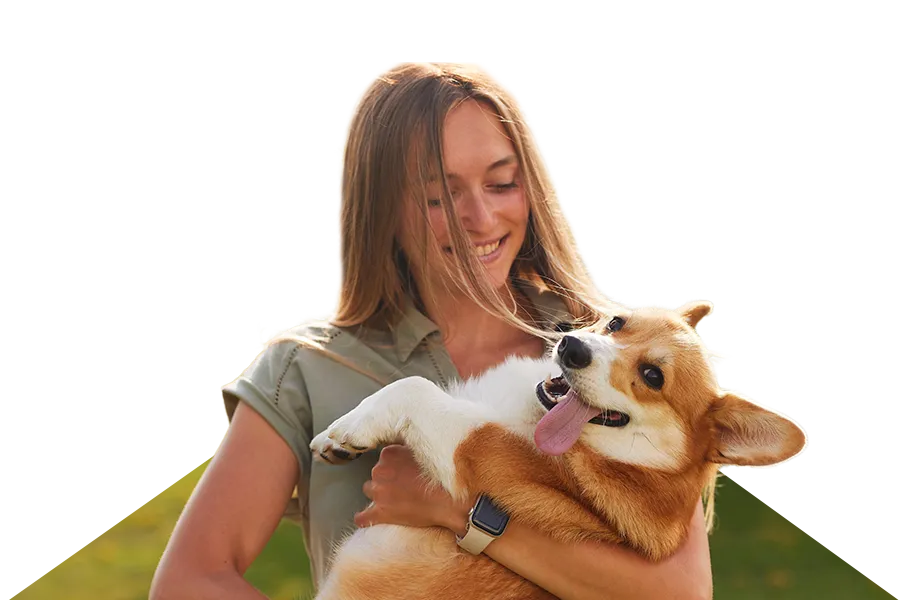 Puppy Trainers Inverness Puppy Trainers Inverness