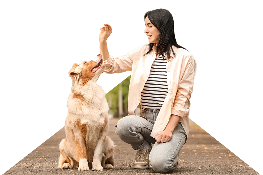 Dog Trainer Inverness Dog Trainer Inverness