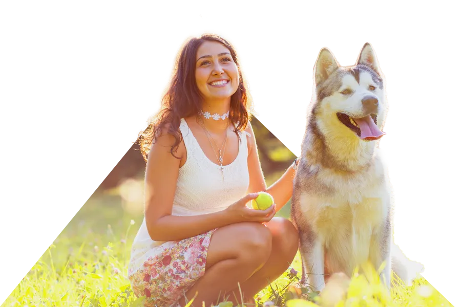 Highland Dog Trainers Highland Dog Trainers