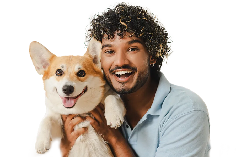 Inverness Dog Trainers Inverness Dog Trainers