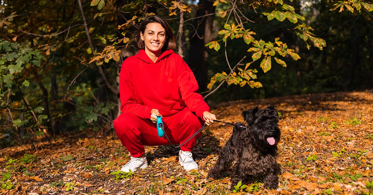 Dog Trainer Highlands