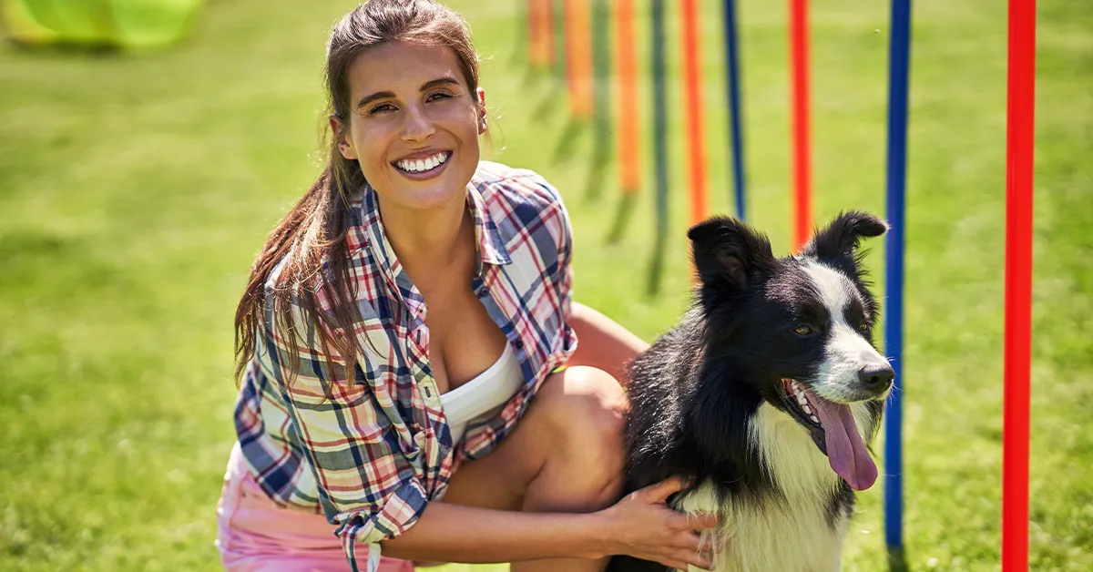 Dog Training Near Me