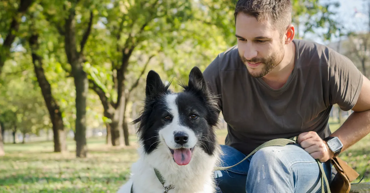 Dog Training Near Me