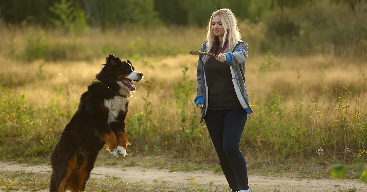 Inverness Dog Trainer