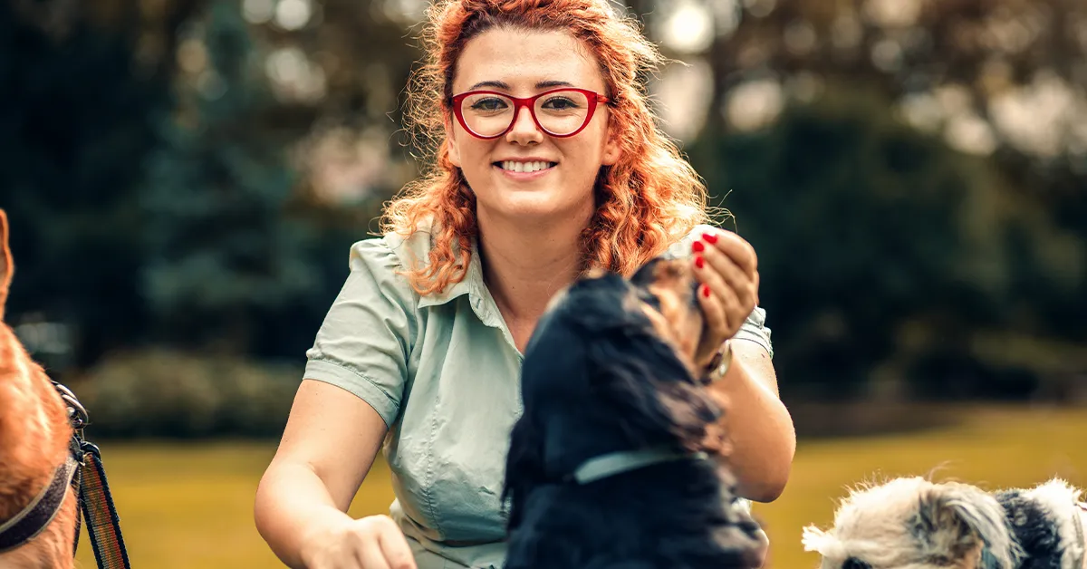 Reactive Dog Training Inverness